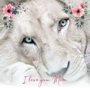 Meet your Posher, Lazaro zorayda